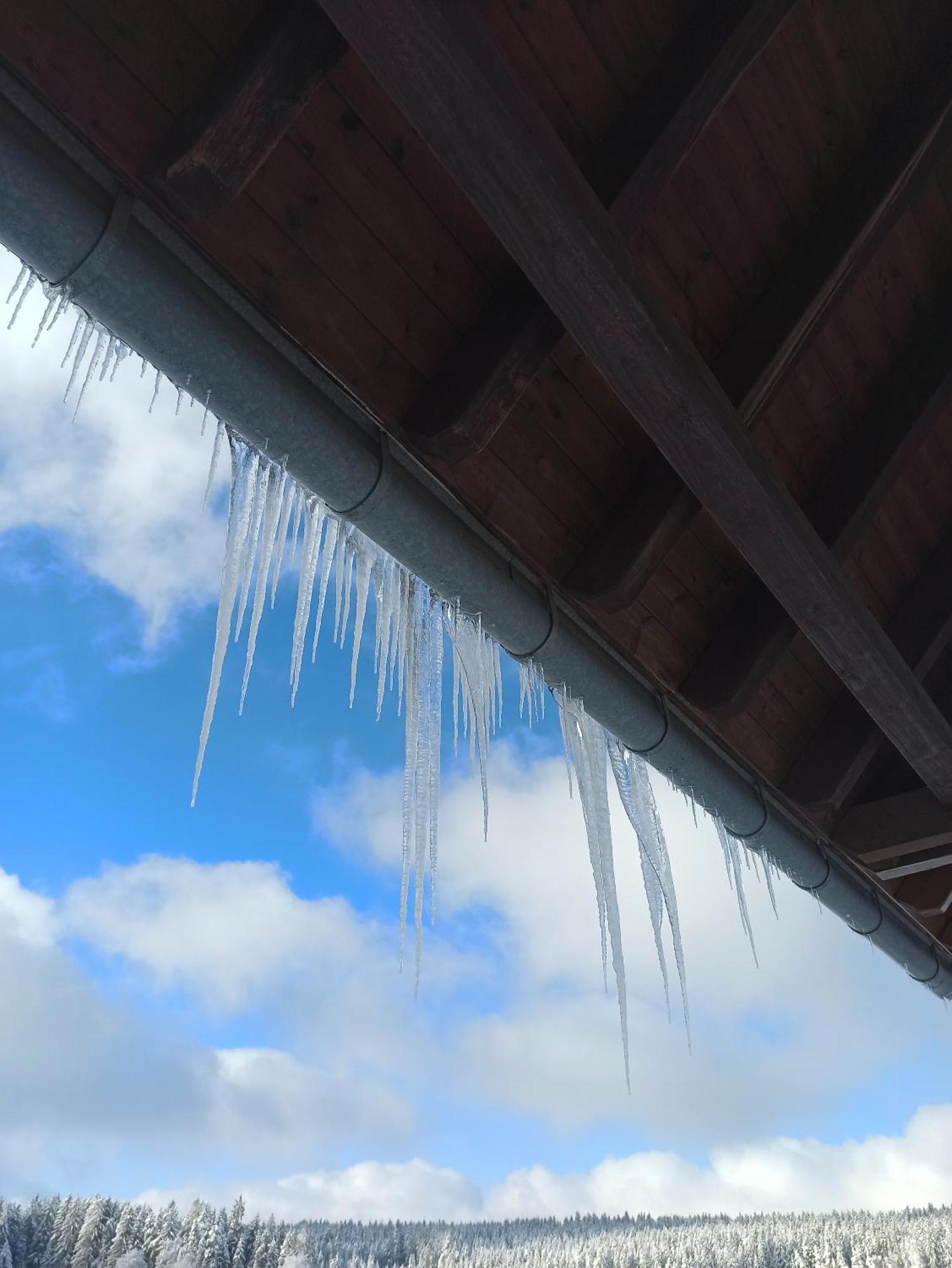 Ferienwohnung Brentenholz Sankt Georgen im Schwarzwald Exteriör bild